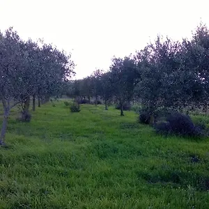 Casa vacanze Sa Mitza, Villamassargia